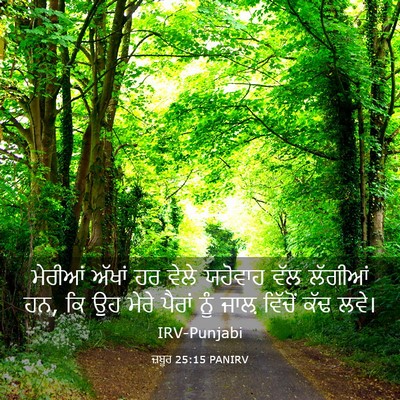 Picture 03 - ਜ਼ਬੂਰ 25:15 PANIRV - ਮੇਰੀਆਂ ਅੱਖਾਂ ਹਰ - Bible Verse Picture