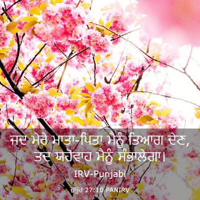 Picture 03 - ਜ਼ਬੂਰ 27:10 PANIRV - ਜਦ ਮੇਰੇ ਮਾਤਾ-ਪਿਤਾ - Bible Verse Picture