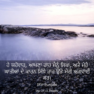 Picture 03 - ਜ਼ਬੂਰ 27:11 PANIRV - ਹੇ ਯਹੋਵਾਹ, ਆਪਣਾ ਰਾਹ - Bible Verse Picture