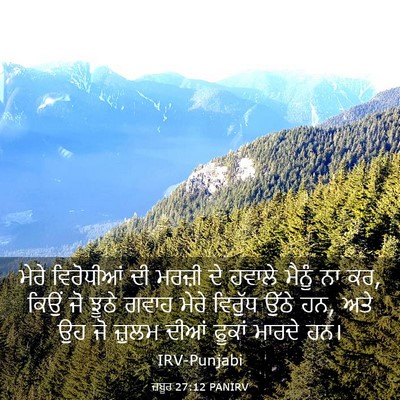 Picture 03 - ਜ਼ਬੂਰ 27:12 PANIRV - ਮੇਰੇ ਵਿਰੋਧੀਆਂ ਦੀ - Bible Verse Picture