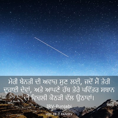 Picture 03 - ਜ਼ਬੂਰ 28:2 PANIRV - ਮੇਰੀ ਬੇਨਤੀ ਦੀ - Bible Verse Picture