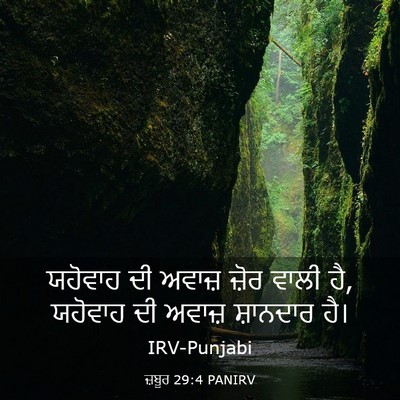 Picture 03 - ਜ਼ਬੂਰ 29:4 PANIRV - ਯਹੋਵਾਹ ਦੀ ਅਵਾਜ਼ - Bible Verse Picture
