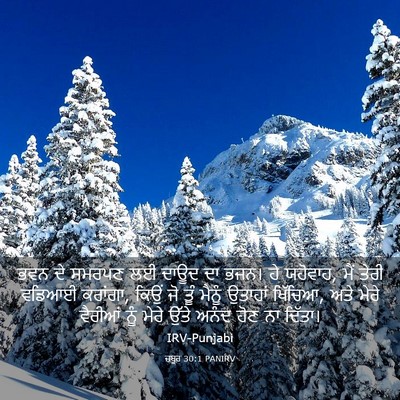 Picture 03 - ਜ਼ਬੂਰ 30:1 PANIRV - ਭਵਨ ਦੇ ਸਮਰਪਣ ਲਈ - Bible Verse Picture