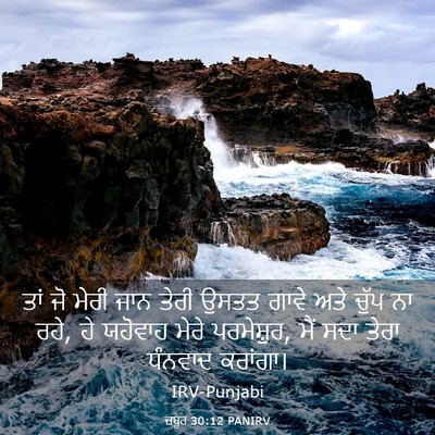Picture 03 - ਜ਼ਬੂਰ 30:12 PANIRV - ਤਾਂ ਜੋ ਮੇਰੀ ਜਾਨ - Bible Verse Picture