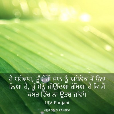 Picture 03 - ਜ਼ਬੂਰ 30:3 PANIRV - ਹੇ ਯਹੋਵਾਹ, ਤੂੰ ਮੇਰੀ - Bible Verse Picture