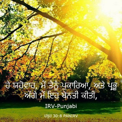 Picture 03 - ਜ਼ਬੂਰ 30:8 PANIRV - ਹੇ ਯਹੋਵਾਹ, ਮੈਂ - Bible Verse Picture