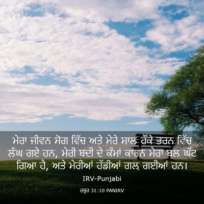 Picture 03 - ਜ਼ਬੂਰ 31:10 PANIRV - ਮੇਰਾ ਜੀਵਨ ਸੋਗ ਵਿੱਚ - Bible Verse Picture
