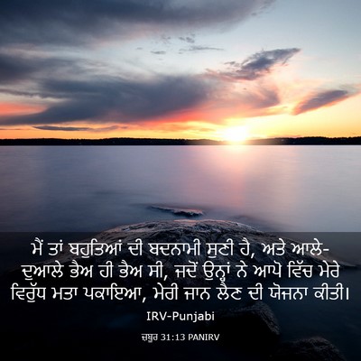 Picture 03 - ਜ਼ਬੂਰ 31:13 PANIRV - ਮੈਂ ਤਾਂ ਬਹੁਤਿਆਂ ਦੀ - Bible Verse Picture