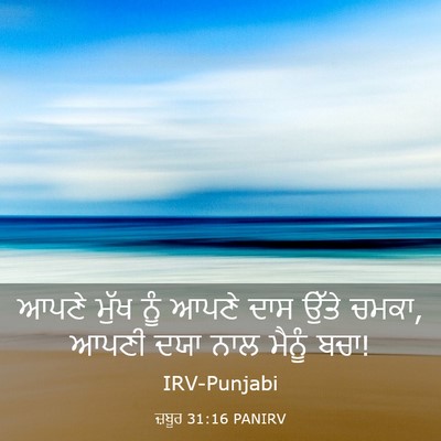 Picture 03 - ਜ਼ਬੂਰ 31:16 PANIRV - ਆਪਣੇ ਮੁੱਖ ਨੂੰ ਆਪਣੇ - Bible Verse Picture