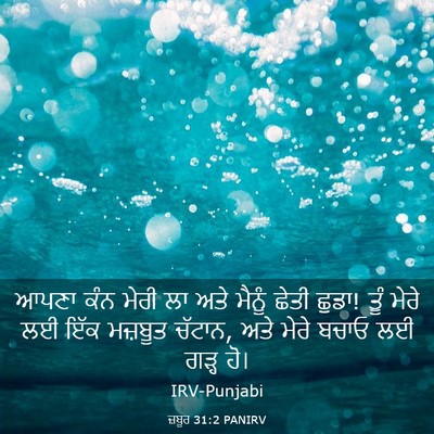 Picture 03 - ਜ਼ਬੂਰ 31:2 PANIRV - ਆਪਣਾ ਕੰਨ ਮੇਰੀ ਲਾ - Bible Verse Picture