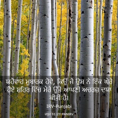 Picture 03 - ਜ਼ਬੂਰ 31:21 PANIRV - ਯਹੋਵਾਹ ਮੁਬਾਰਕ - Bible Verse Picture
