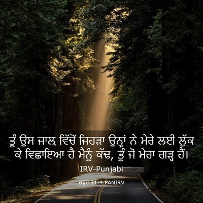 Picture 03 - ਜ਼ਬੂਰ 31:4 PANIRV - ਤੂੰ ਉਸ ਜਾਲ਼ ਵਿੱਚੋਂ - Bible Verse Picture