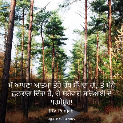 Picture 03 - ਜ਼ਬੂਰ 31:5 PANIRV - ਮੈਂ ਆਪਣਾ ਆਤਮਾ ਤੇਰੇ - Bible Verse Picture
