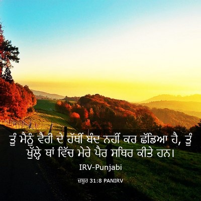Picture 03 - ਜ਼ਬੂਰ 31:8 PANIRV - ਤੂੰ ਮੈਨੂੰ ਵੈਰੀ ਦੇ - Bible Verse Picture