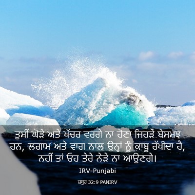 Picture 03 - ਜ਼ਬੂਰ 32:9 PANIRV - ਤੁਸੀਂ ਘੋੜੇ ਅਤੇ - Bible Verse Picture