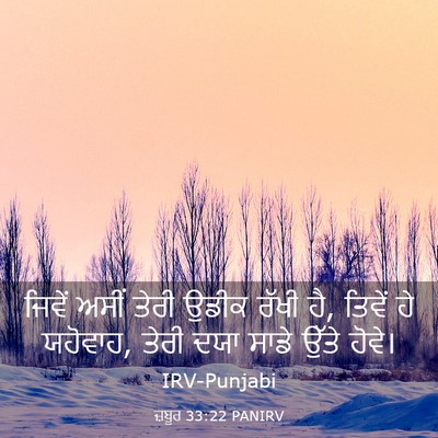 Picture 03 - ਜ਼ਬੂਰ 33:22 PANIRV - ਜਿਵੇਂ ਅਸੀਂ ਤੇਰੀ - Bible Verse Picture