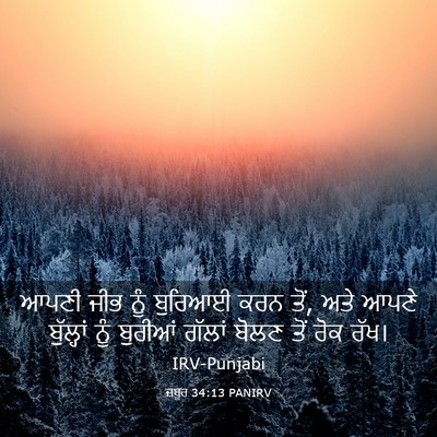 Picture 03 - ਜ਼ਬੂਰ 34:13 PANIRV - ਆਪਣੀ ਜੀਭ ਨੂੰ - Bible Verse Picture