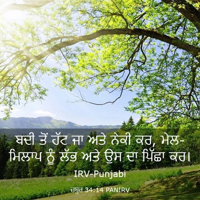 Picture 03 - ਜ਼ਬੂਰ 34:14 PANIRV - ਬਦੀ ਤੋਂ ਹੱਟ ਜਾ ਅਤੇ - Bible Verse Picture