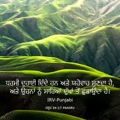 Picture 03 - ਜ਼ਬੂਰ 34:17 PANIRV - ਧਰਮੀ ਦੁਹਾਈ ਦਿੰਦੇ - Bible Verse Picture