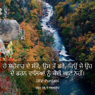 Picture 03 - ਜ਼ਬੂਰ 34:9 PANIRV - ਹੇ ਯਹੋਵਾਹ ਦੇ ਸੰਤੋ, - Bible Verse Picture