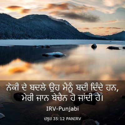 Picture 03 - ਜ਼ਬੂਰ 35:12 PANIRV - ਨੇਕੀ ਦੇ ਬਦਲੇ ਉਹ - Bible Verse Picture
