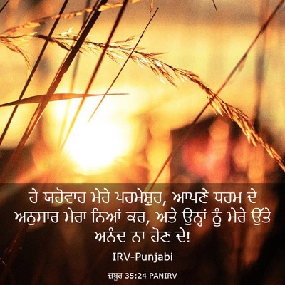 Picture 03 - ਜ਼ਬੂਰ 35:24 PANIRV - ਹੇ ਯਹੋਵਾਹ ਮੇਰੇ - Bible Verse Picture