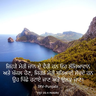 Picture 03 - ਜ਼ਬੂਰ 35:4 PANIRV - ਜਿਹੜੇ ਮੇਰੀ ਜਾਨ ਦੇ - Bible Verse Picture