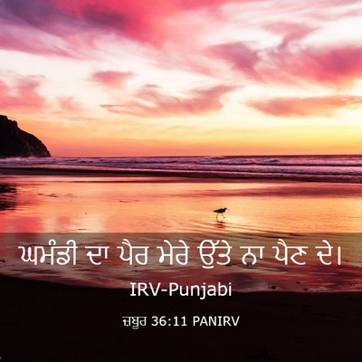 Picture 03 - ਜ਼ਬੂਰ 36:11 PANIRV - ਘਮੰਡੀ ਦਾ ਪੈਰ ਮੇਰੇ - Bible Verse Picture