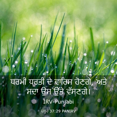 Picture 03 - ਜ਼ਬੂਰ 37:29 PANIRV - ਧਰਮੀ ਧਰਤੀ ਦੇ ਵਾਰਿਸ - Bible Verse Picture