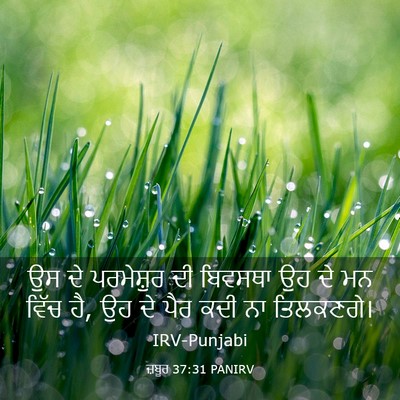 Picture 03 - ਜ਼ਬੂਰ 37:31 PANIRV - ਉਸ ਦੇ ਪਰਮੇਸ਼ੁਰ ਦੀ - Bible Verse Picture