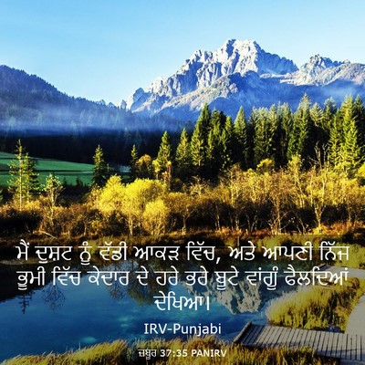 Picture 03 - ਜ਼ਬੂਰ 37:35 PANIRV - ਮੈਂ ਦੁਸ਼ਟ ਨੂੰ ਵੱਡੀ - Bible Verse Picture