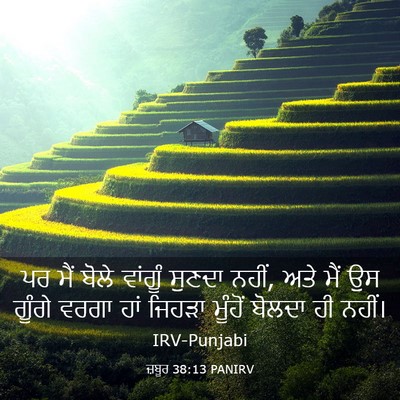 Picture 03 - ਜ਼ਬੂਰ 38:13 PANIRV - ਪਰ ਮੈਂ ਬੋਲੇ ਵਾਂਗੂੰ - Bible Verse Picture