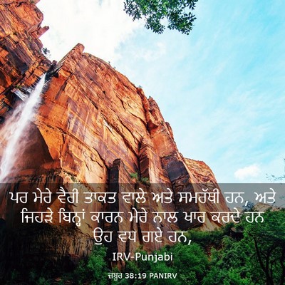 Picture 03 - ਜ਼ਬੂਰ 38:19 PANIRV - ਪਰ ਮੇਰੇ ਵੈਰੀ ਤਾਕਤ - Bible Verse Picture