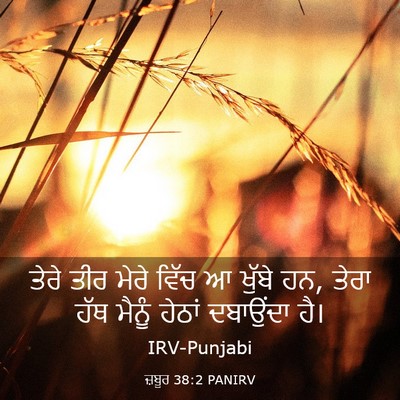 Picture 03 - ਜ਼ਬੂਰ 38:2 PANIRV - ਤੇਰੇ ਤੀਰ ਮੇਰੇ ਵਿੱਚ - Bible Verse Picture