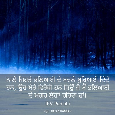 Picture 03 - ਜ਼ਬੂਰ 38:20 PANIRV - ਨਾਲੇ ਜਿਹੜੇ ਭਲਿਆਈ - Bible Verse Picture