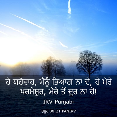 Picture 03 - ਜ਼ਬੂਰ 38:21 PANIRV - ਹੇ ਯਹੋਵਾਹ, ਮੈਨੂੰ - Bible Verse Picture