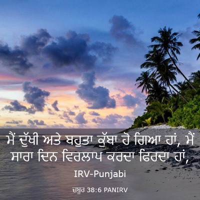 Picture 03 - ਜ਼ਬੂਰ 38:6 PANIRV - ਮੈਂ ਦੁੱਖੀ ਅਤੇ - Bible Verse Picture