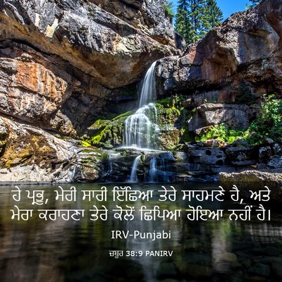 Picture 03 - ਜ਼ਬੂਰ 38:9 PANIRV - ਹੇ ਪ੍ਰਭੂ, ਮੇਰੀ ਸਾਰੀ - Bible Verse Picture
