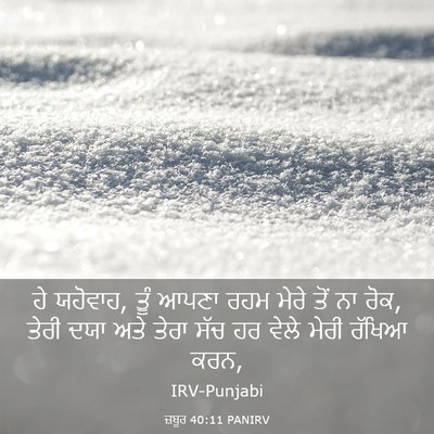 Picture 03 - ਜ਼ਬੂਰ 40:11 PANIRV - ਹੇ ਯਹੋਵਾਹ, ਤੂੰ ਆਪਣਾ - Bible Verse Picture