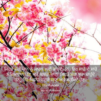 Picture 03 - ਜ਼ਬੂਰ 40:14 PANIRV - ਜਿਹੜੇ ਮੇਰੀ ਜਾਨ ਨੂੰ - Bible Verse Picture