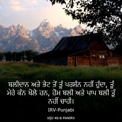 Picture 03 - ਜ਼ਬੂਰ 40:6 PANIRV - ਬਲੀਦਾਨ ਅਤੇ ਭੇਟ ਤੋਂ - Bible Verse Picture