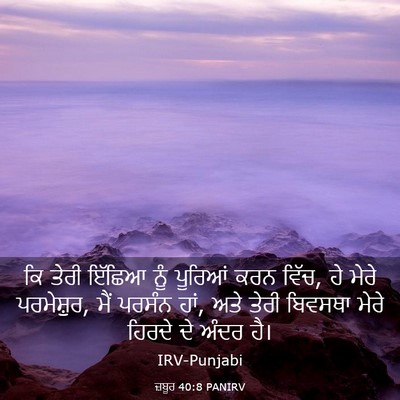 Picture 03 - ਜ਼ਬੂਰ 40:8 PANIRV - ਕਿ ਤੇਰੀ ਇੱਛਿਆ ਨੂੰ - Bible Verse Picture