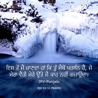 Picture 03 - ਜ਼ਬੂਰ 41:11 PANIRV - ਇਸ ਤੋਂ ਮੈਂ ਜਾਣਦਾ - Bible Verse Picture