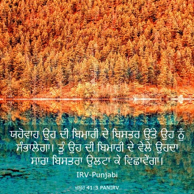 Picture 03 - ਜ਼ਬੂਰ 41:3 PANIRV - ਯਹੋਵਾਹ ਉਹ ਦੀ - Bible Verse Picture