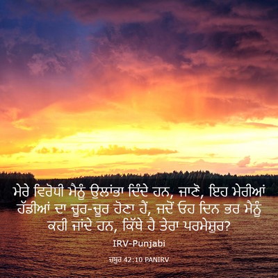 Picture 03 - ਜ਼ਬੂਰ 42:10 PANIRV - ਮੇਰੇ ਵਿਰੋਧੀ ਮੈਨੂੰ - Bible Verse Picture