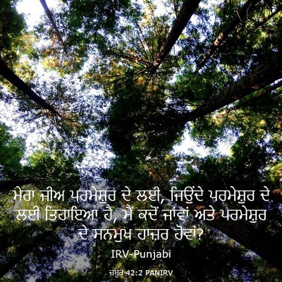 Picture 03 - ਜ਼ਬੂਰ 42:2 PANIRV - ਮੇਰਾ ਜੀਅ ਪਰਮੇਸ਼ੁਰ - Bible Verse Picture