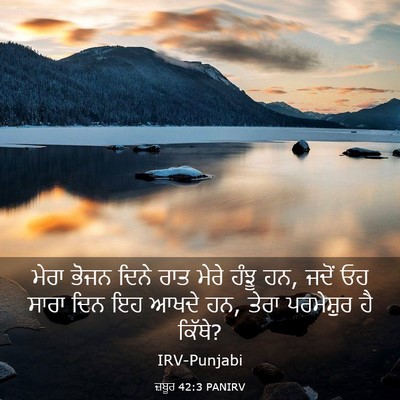 Picture 03 - ਜ਼ਬੂਰ 42:3 PANIRV - ਮੇਰਾ ਭੋਜਨ ਦਿਨੇ ਰਾਤ - Bible Verse Picture