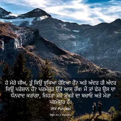 Picture 03 - ਜ਼ਬੂਰ 43:5 PANIRV - ਹੇ ਮੇਰੇ ਜੀਅ, ਤੂੰ - Bible Verse Picture