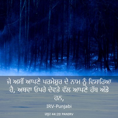 Picture 03 - ਜ਼ਬੂਰ 44:20 PANIRV - ਜੇ ਅਸੀਂ ਆਪਣੇ - Bible Verse Picture