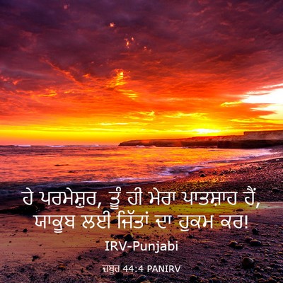 Picture 03 - ਜ਼ਬੂਰ 44:4 PANIRV - ਹੇ ਪਰਮੇਸ਼ੁਰ, ਤੂੰ ਹੀ - Bible Verse Picture